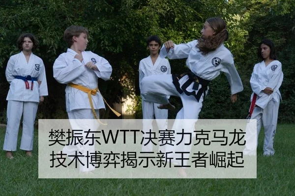 樊振东WTT决赛力克马龙 技术博弈揭示新王者崛起